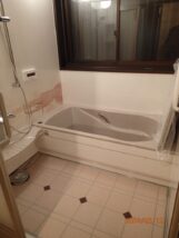 Bathroom reform
