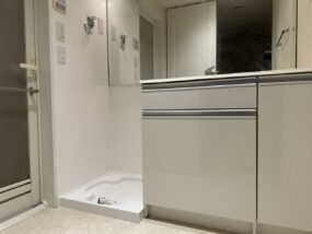 Bathroom reform
