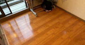 お客様にも好印象♪ 家族みんなが嬉しい 玄関＆勉強部屋の床リフォーム